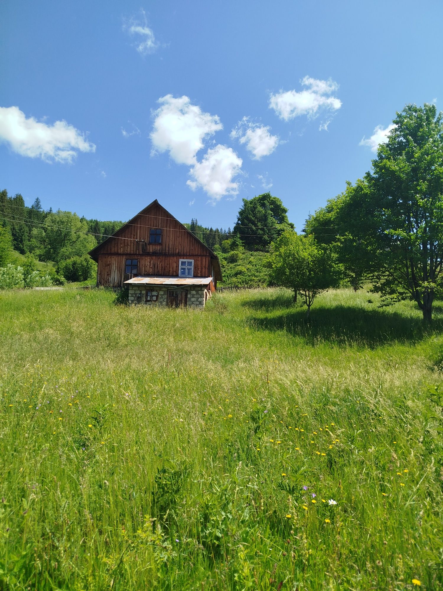 Будинок, земля, житло в Карпатах, гори