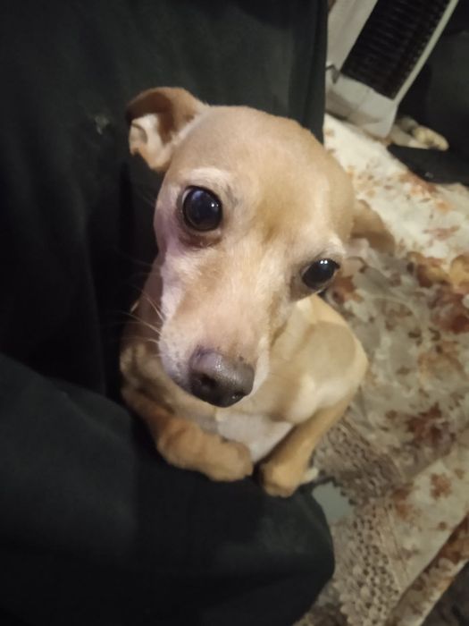 Хлопчик шукає дівчинку