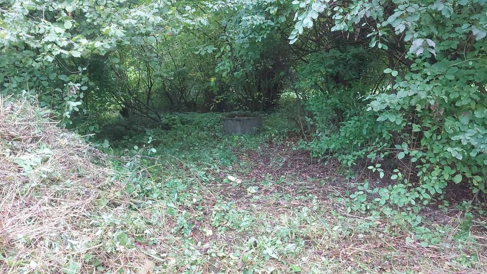 Дачна ділянка, продаж