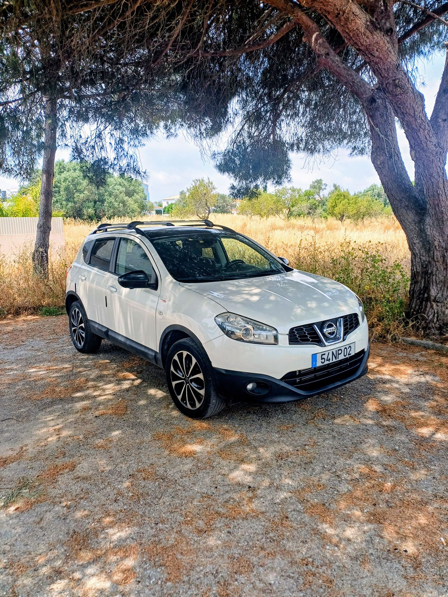 Nissan Qashqai 1.6 Dci de 2013