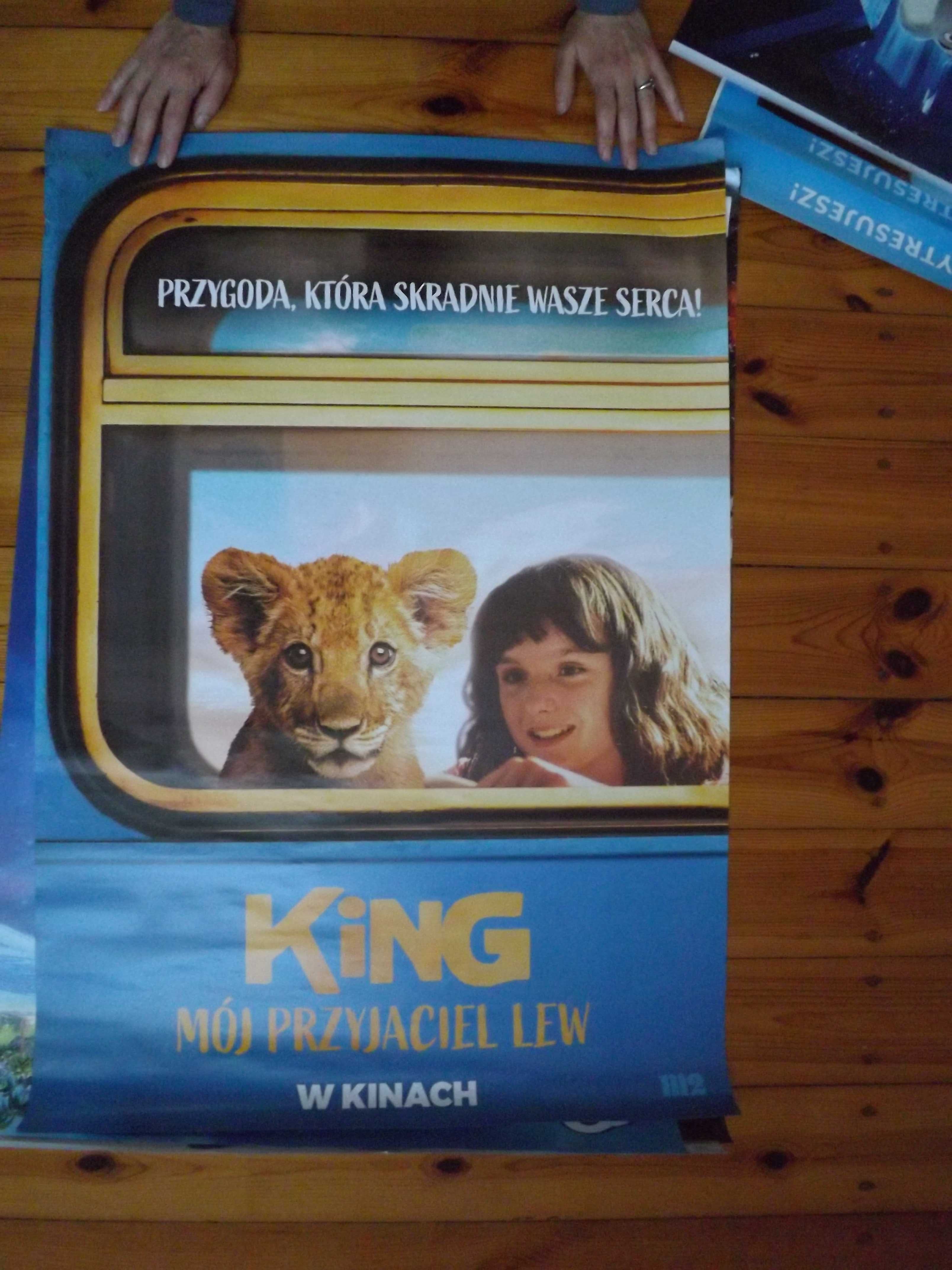 Plakaty z kina bajki filmy Sing2 i inne Wonka