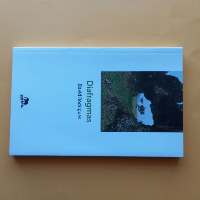 Coleção de Livros Mistos - Autores Variados - Conjunto 30