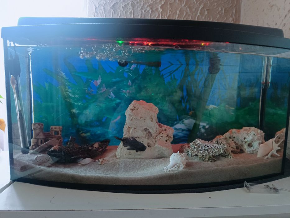 Sprzedam akwarium 120l.