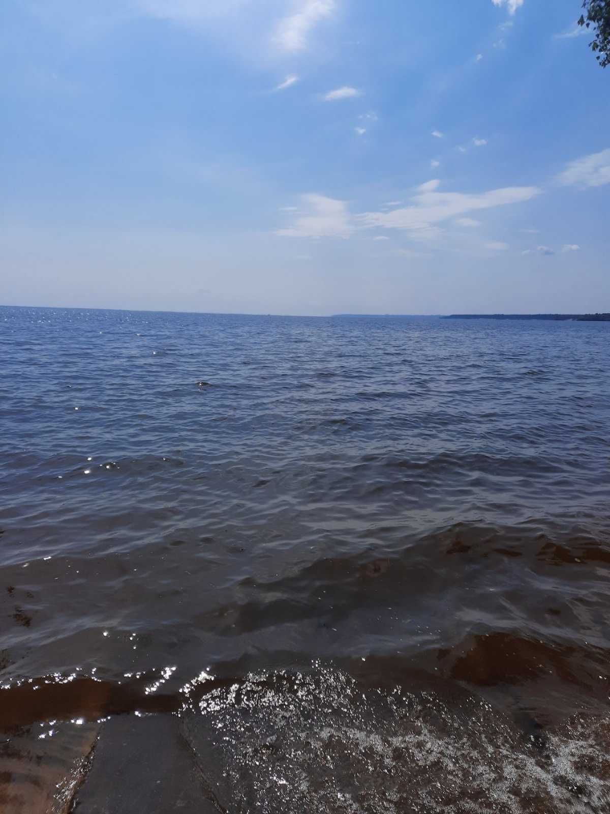 Вихід до води, Козаровичі, 120 соток, для садівництва.  Гарне місце