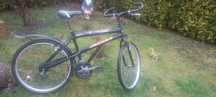 Rower Jaguar 26 cali
