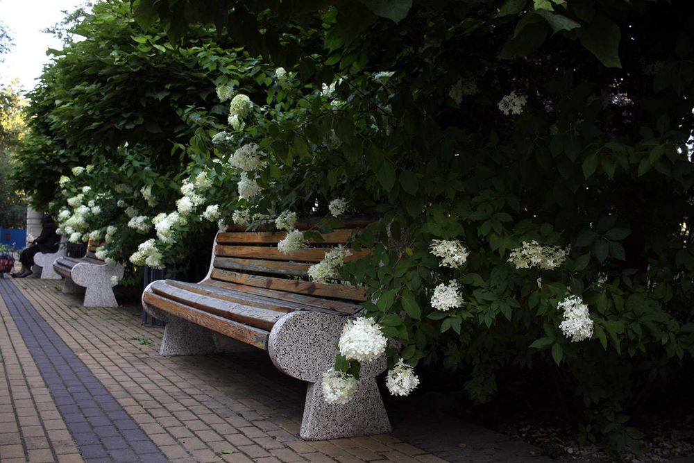 Canon EF-S 24mm 1:2.8 STM - компактний помірний ширококутник (APS-C)