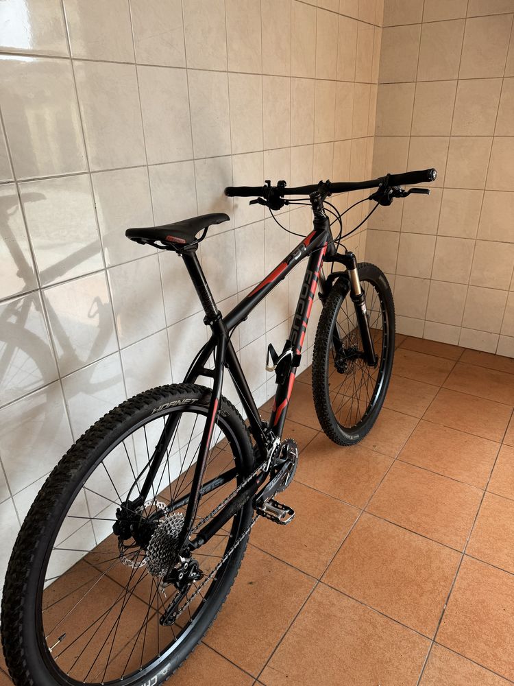 Focus Black Forest