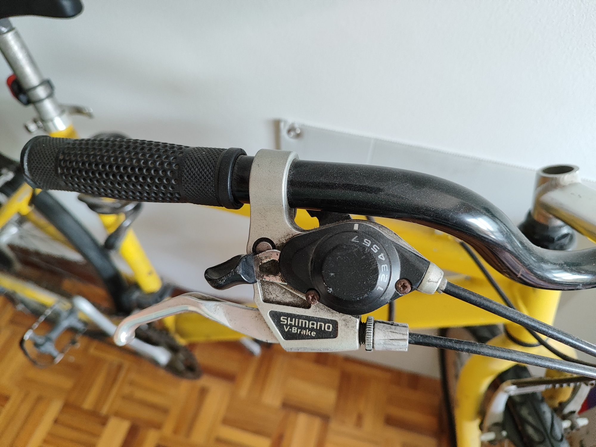 Bicicleta Urbana Adulto
