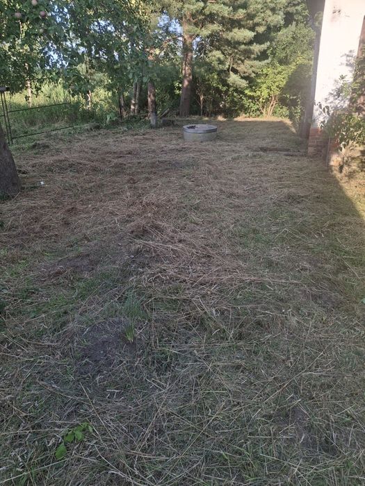 Koszenie traw, trawników, usługi glebogryzarką, wycinka drzew