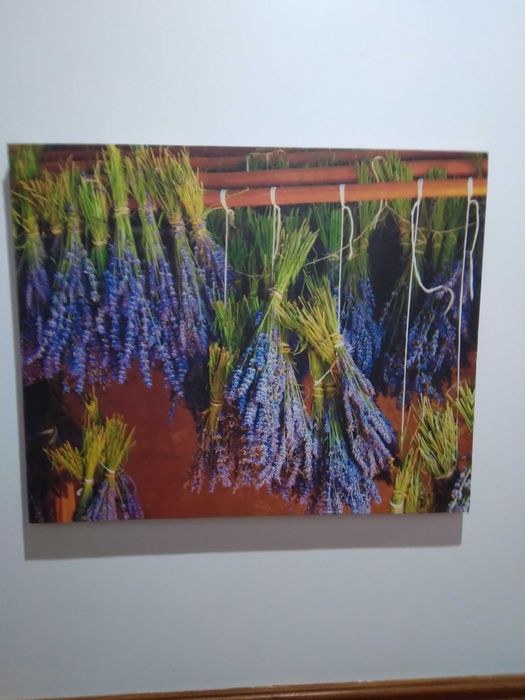 Quadros Natureza 3 peças,simples,agradaveis