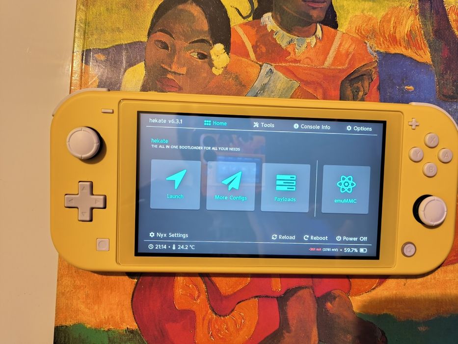Nintendo Switch Lite desbloqueada