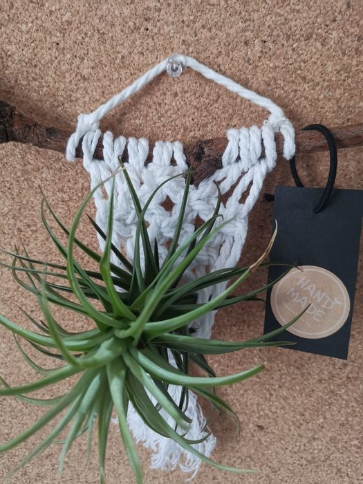 Macrame c/planta tillandsia flor rosa*souvenirs/presente a esgotar