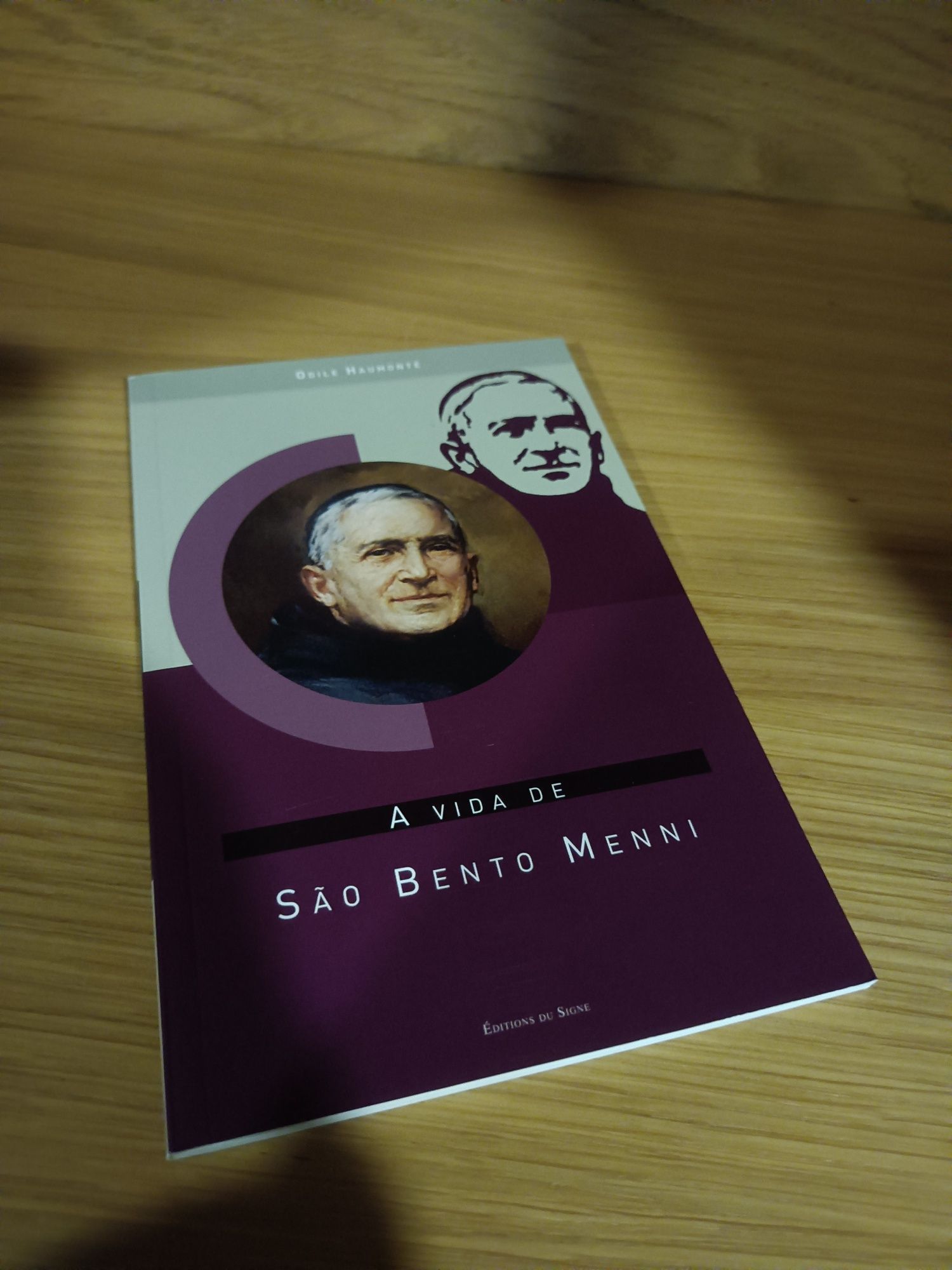 Vendo Livro: A Vida de São Bento Menni