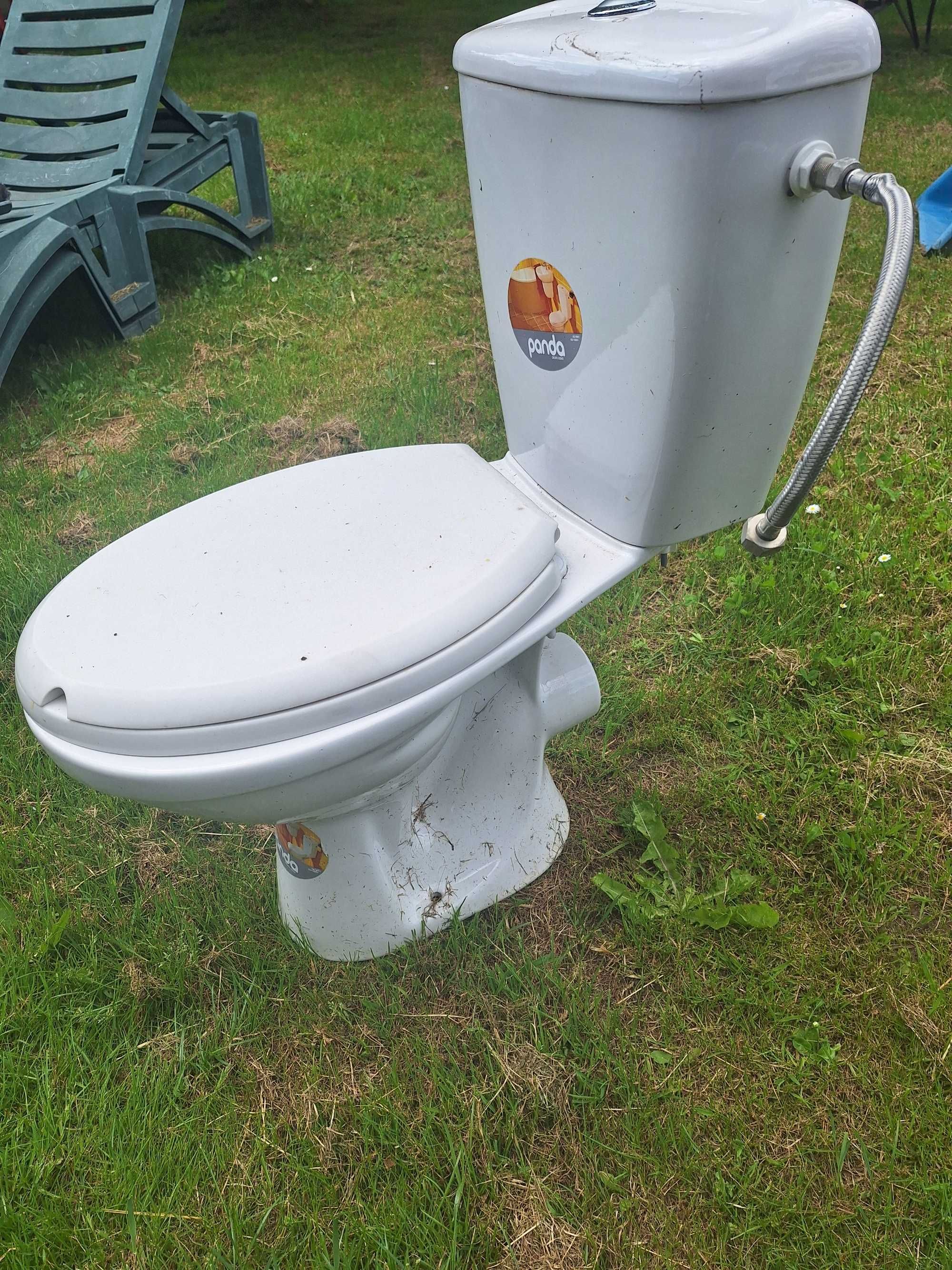 Kompakt WC Panda