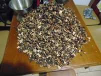 Grzyby Kozlarz czerwony+Babka MIX suszone 300g SUPER CENA 50zl-2024R