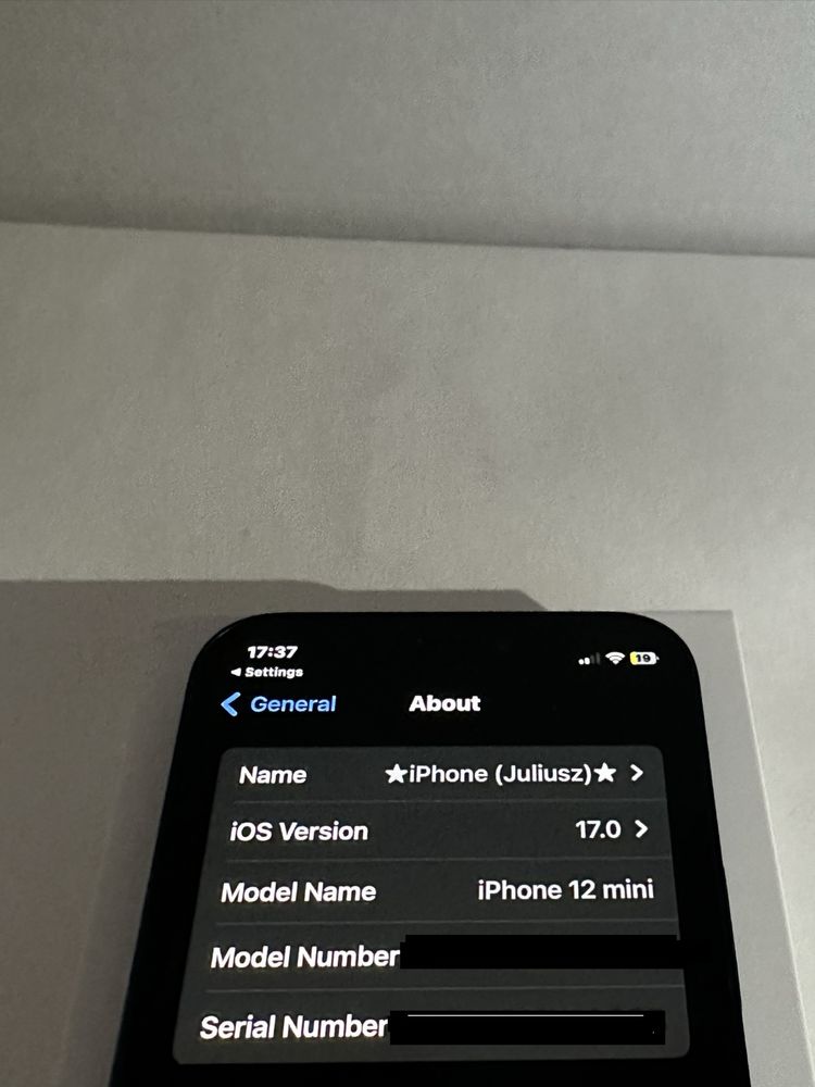 iPhone 12mini 256 GB