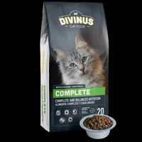 Divinus Cat Complete 20 KG karma dla kotów dorosłych kurczak ryba