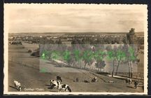 GOŁDAP piękna panorama pastwisko krowy foto