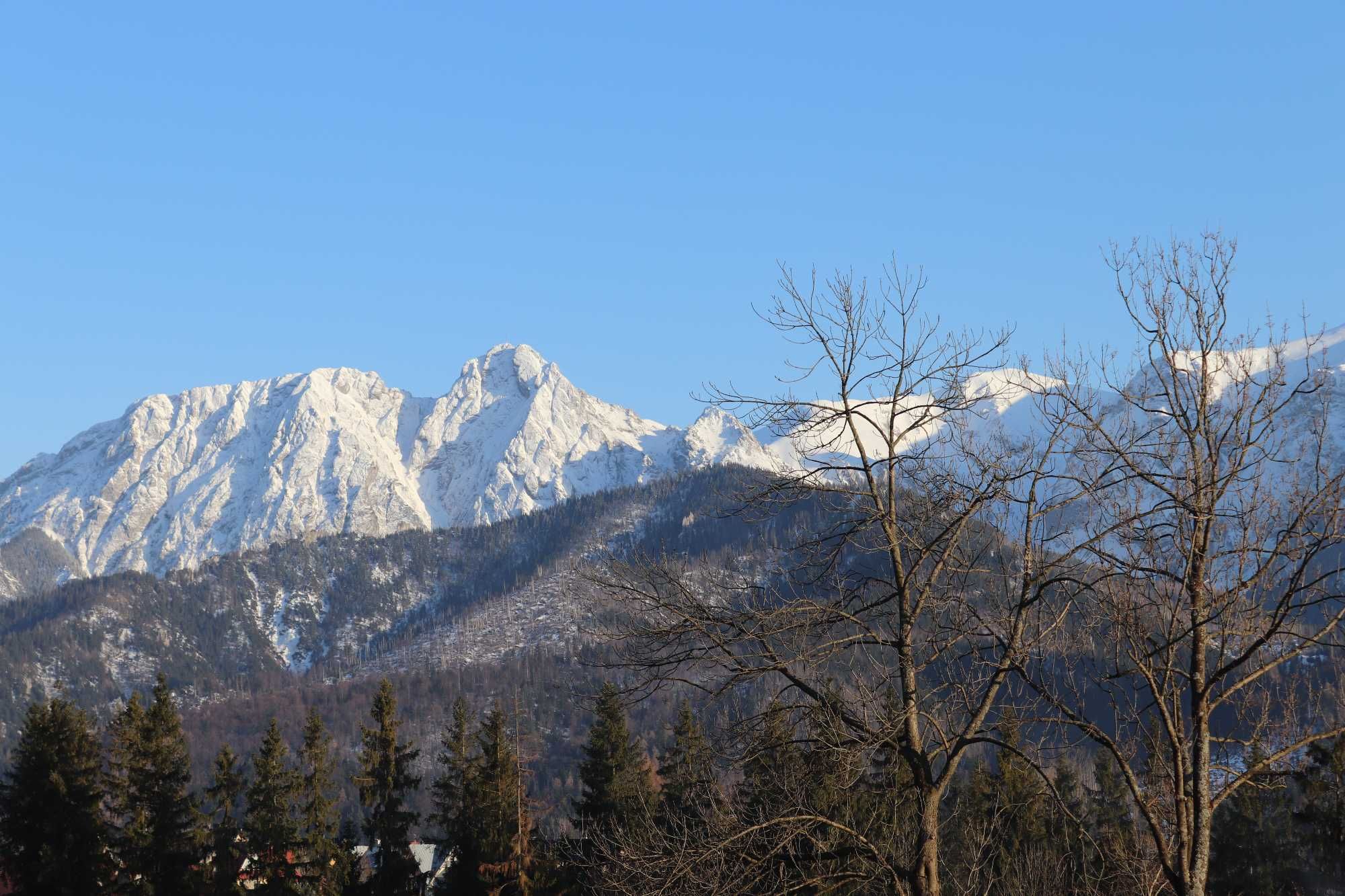 Domek Zakopane - Kościelisko - wakacje