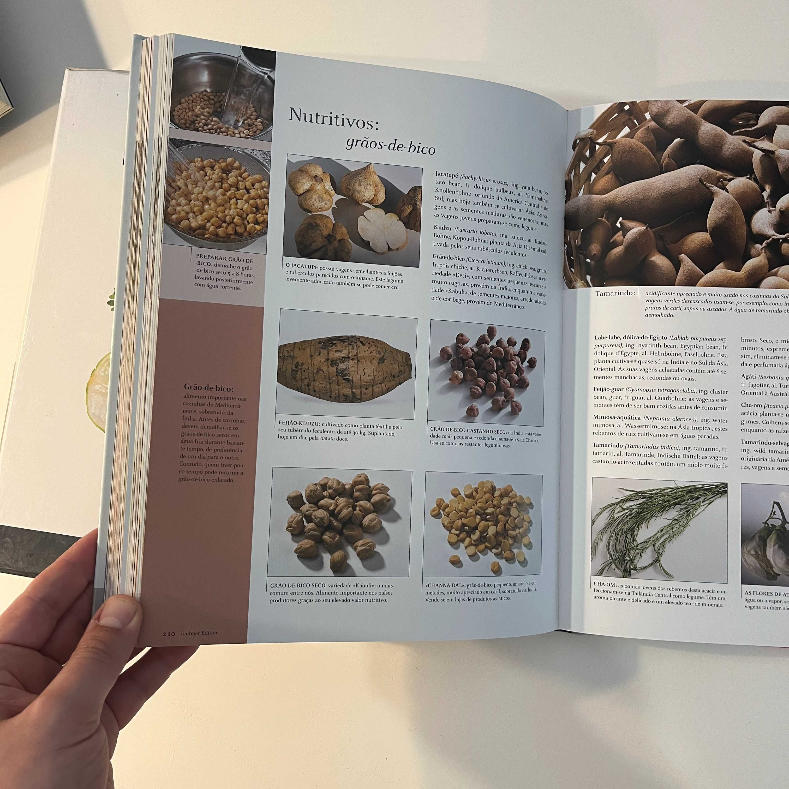 Livro Fruta e Legumes - Teubner