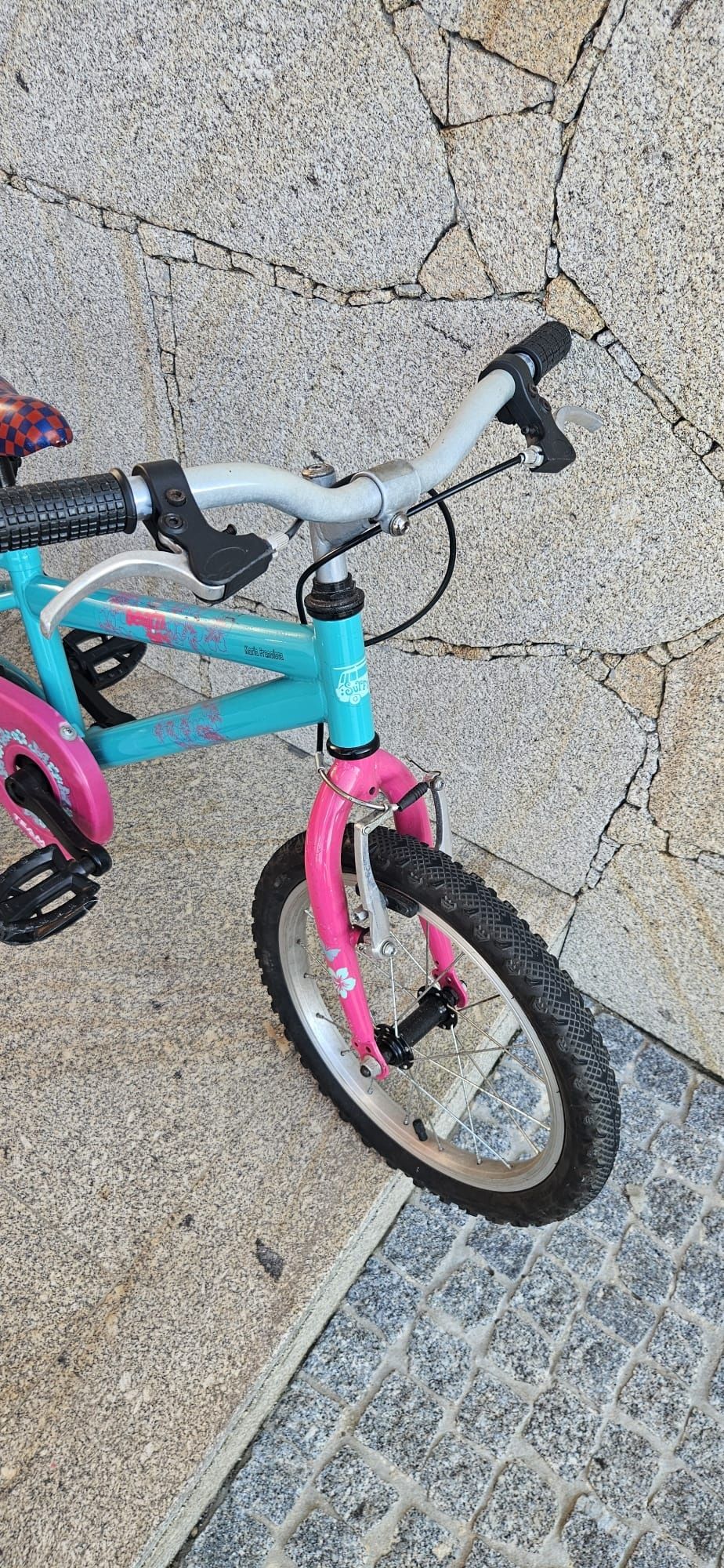 Bicicleta criança, team
