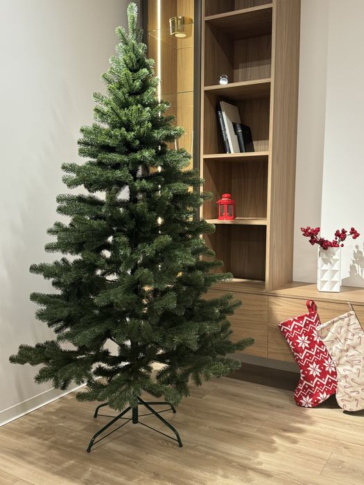 Лита Ялинка (Королівська) 180 см