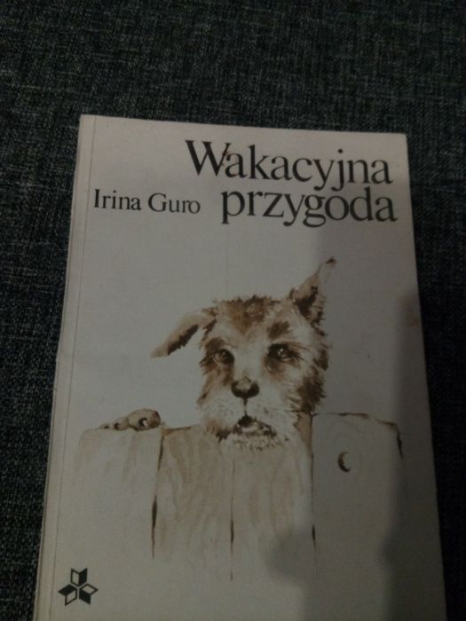 Ksiażka Wakacyjna przygoda