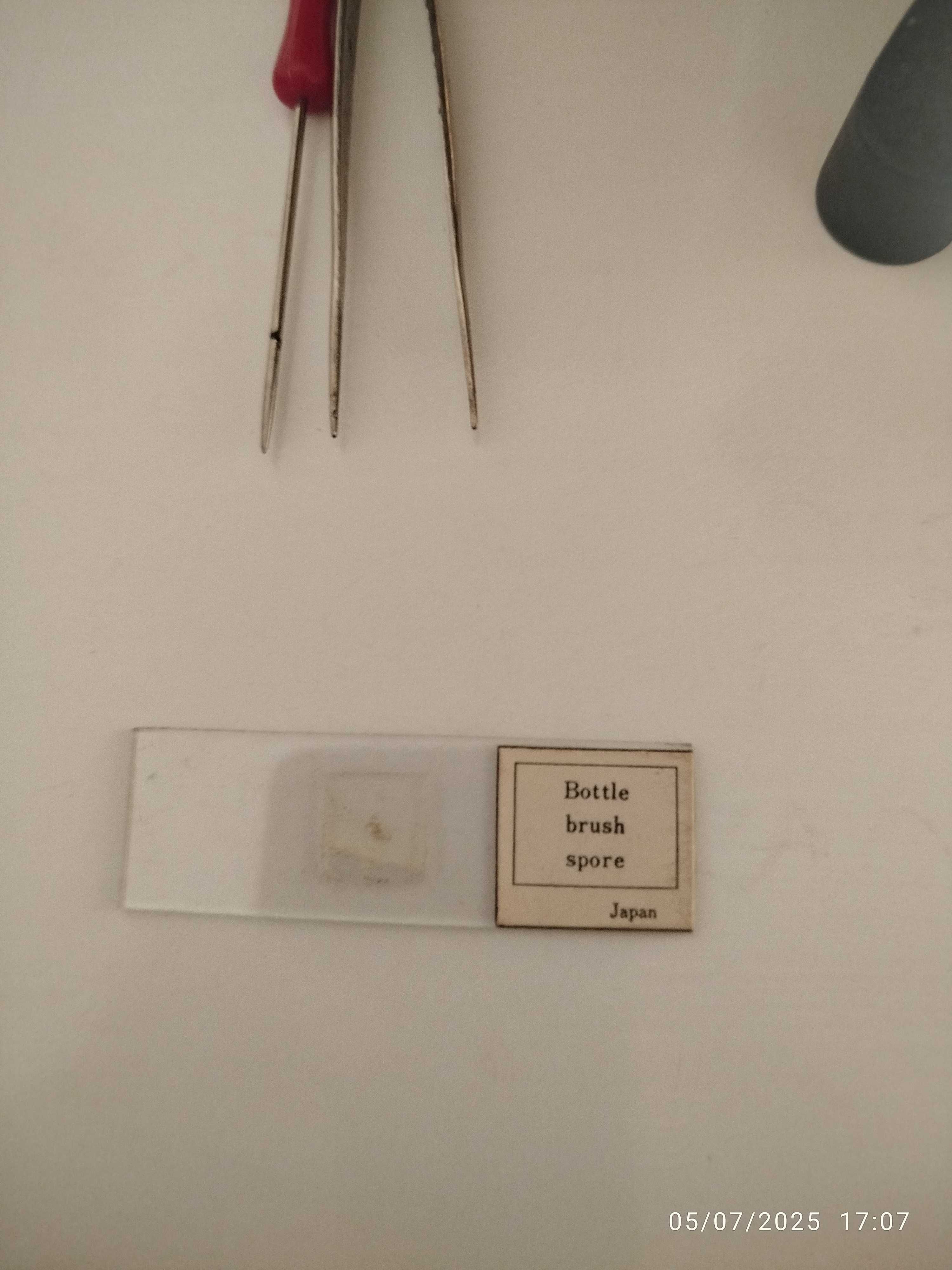 Microscópio Antigo Japonês impecável