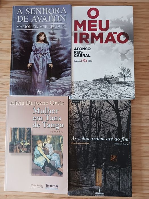 Lote de 24 livros temas e escritores diversos