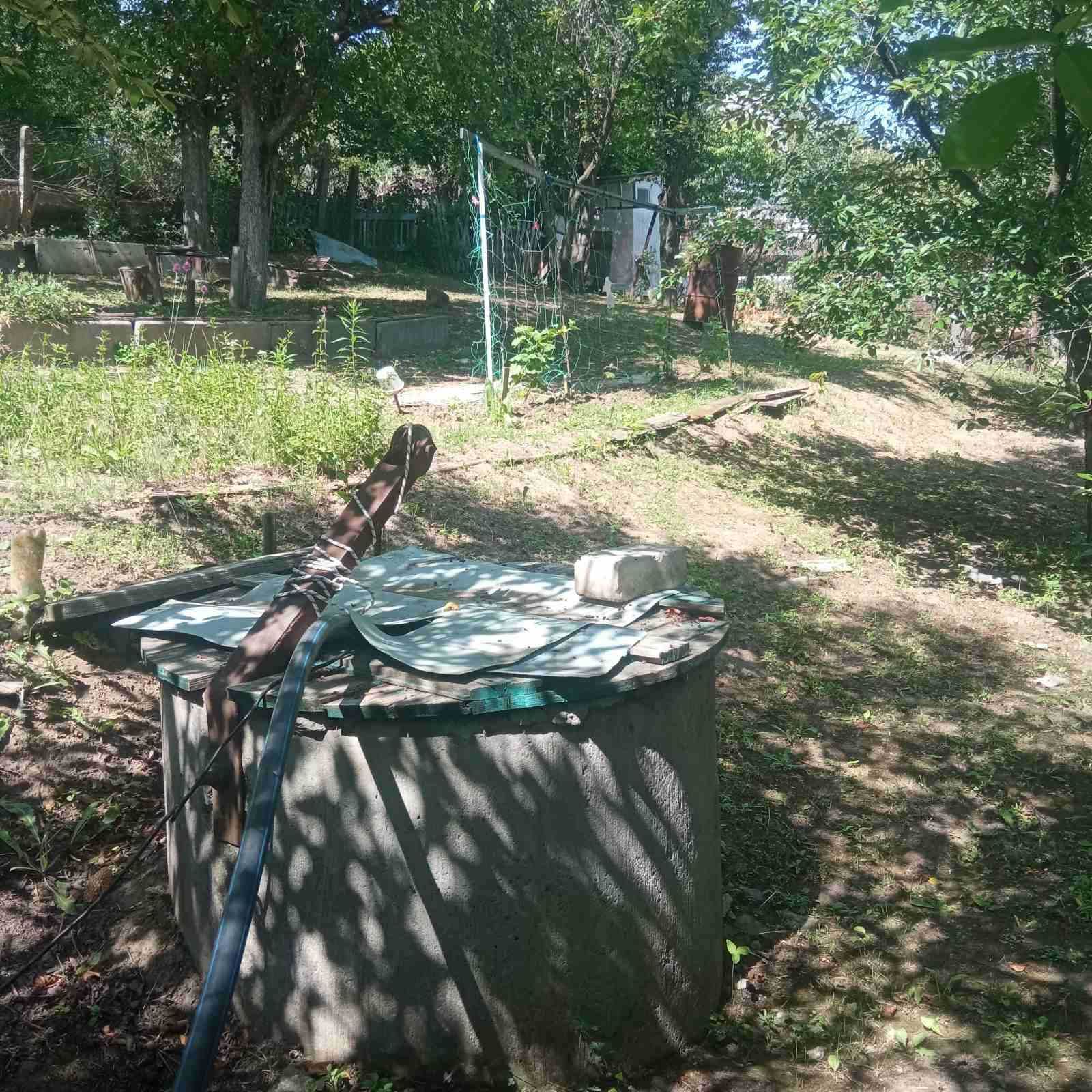 Продам дачу Харківська обл.  с.Ржавець  СТ "23 серпня"  10000 у.е.   M