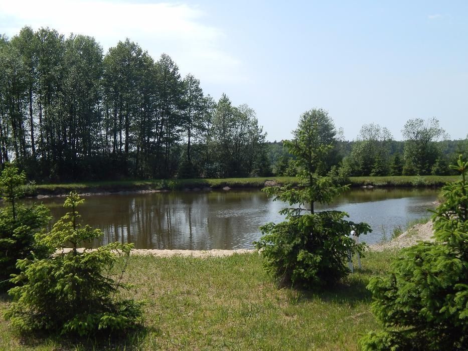 Domek letniskowy nad stawem-wolne terminy zapraszamy