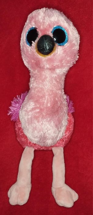 Mis flaming szuka domu