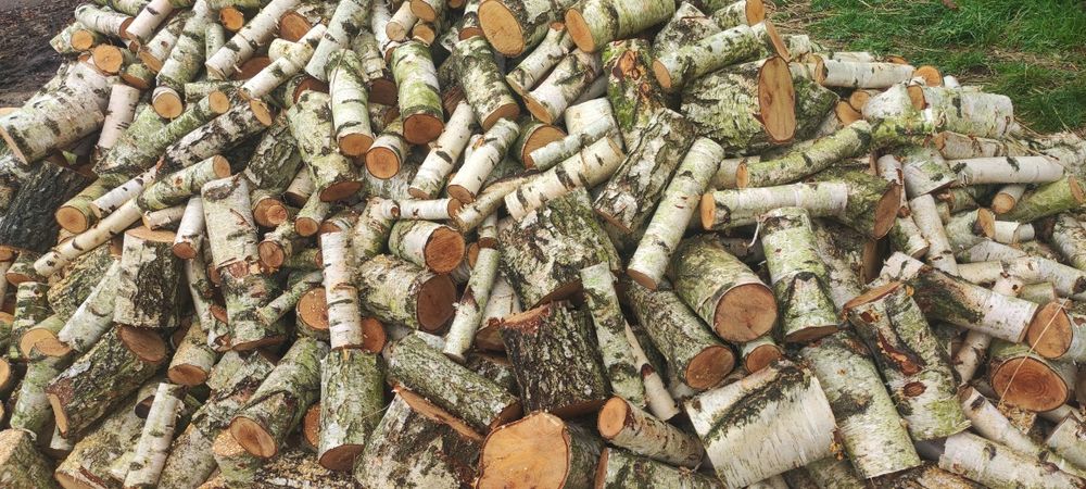 Drewno kominkowe brzoza suche/mokre