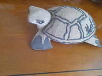 Tartaruga de Areia das Maldivas NOVO