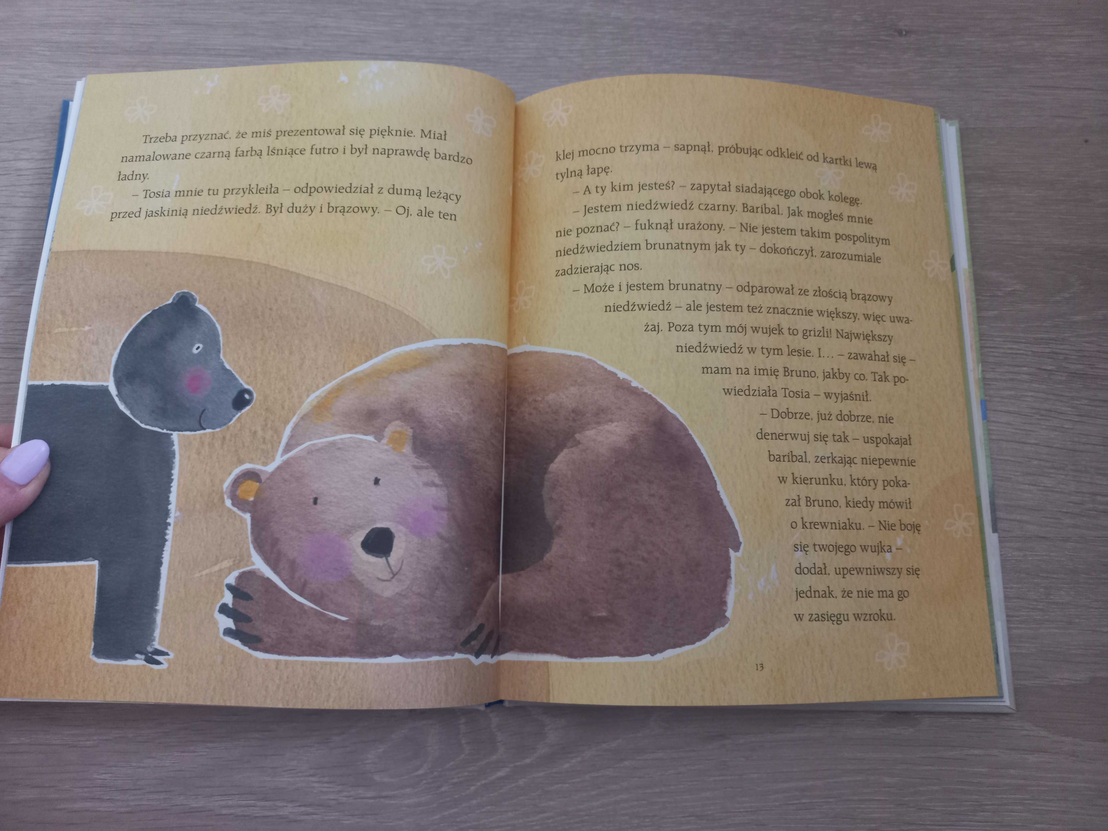 Książka dla dzieci Dokąd niedźwiedzie wędrują nocą nowa