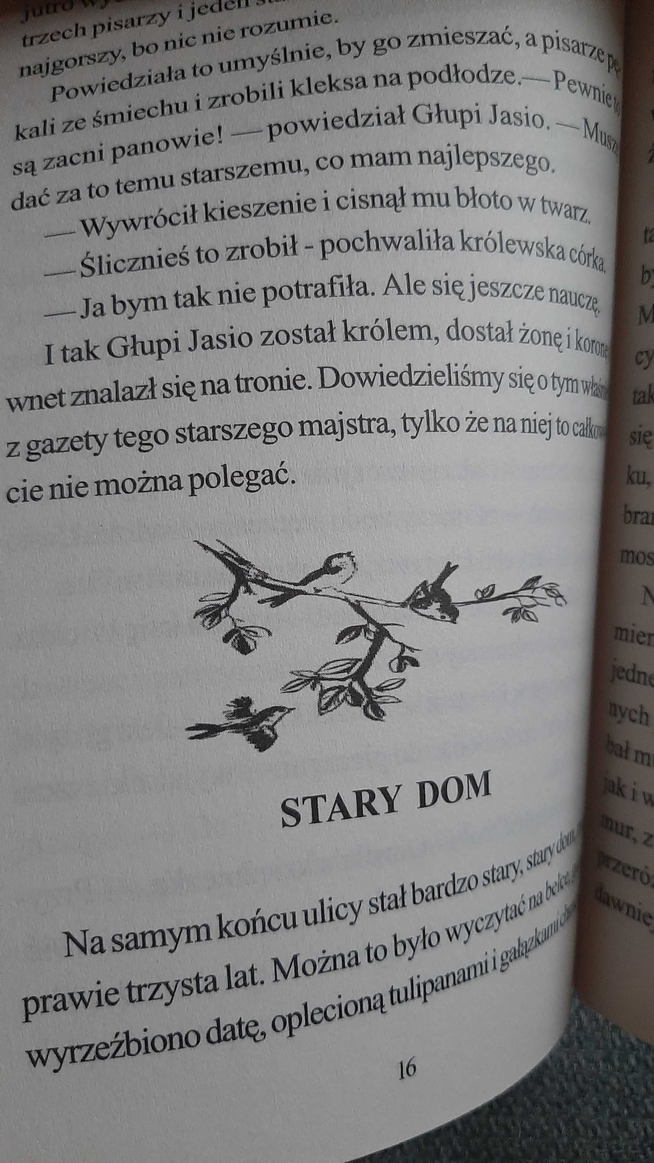 Baśnie Andersen Świniopas Głupi Jasio Stary dom Pasterka kominiarczyk