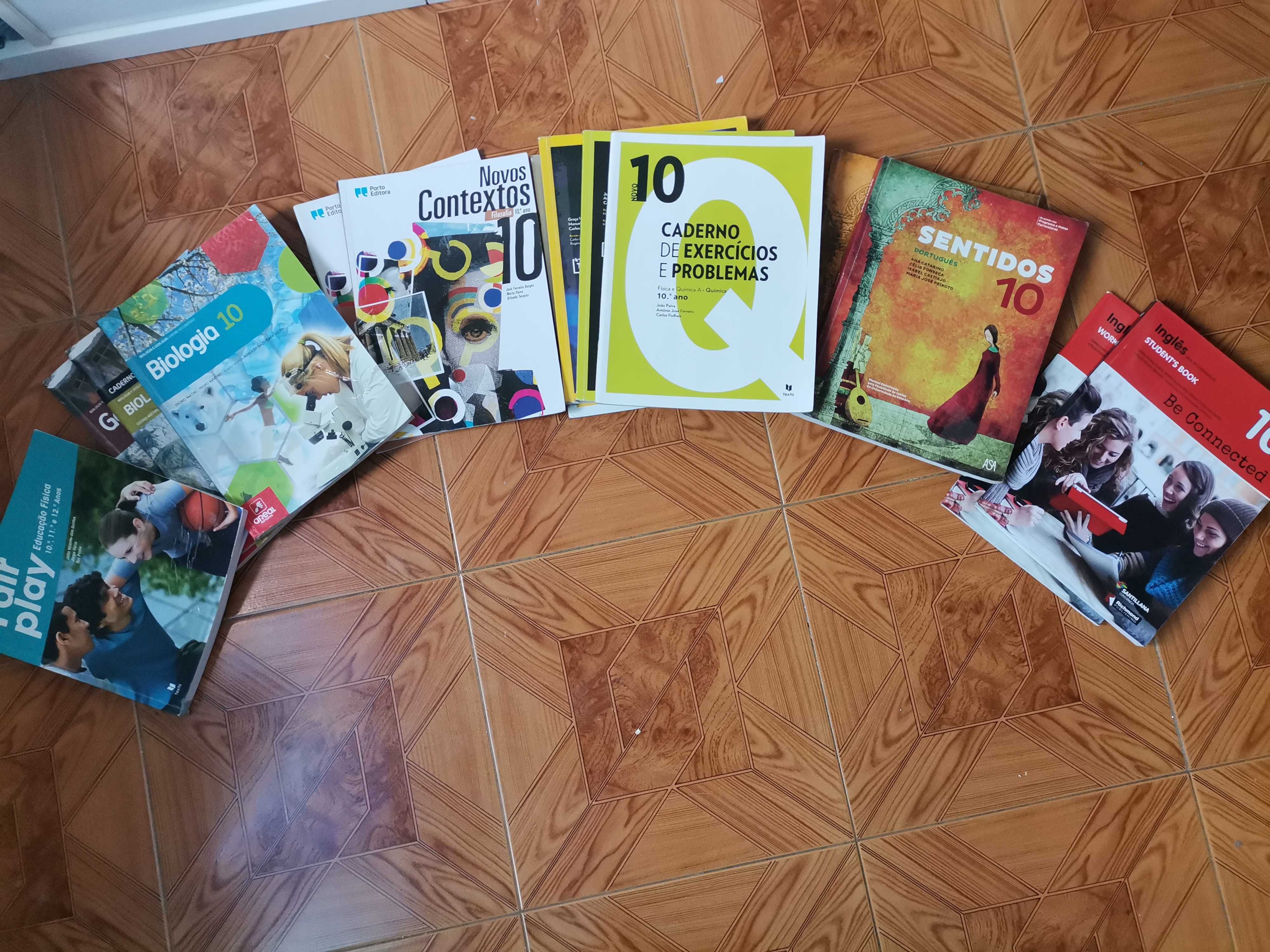 Livros Escolares (10º, 11º e 12º Ano)