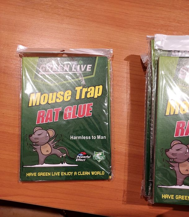 Lepy na myszy 25 sztuk