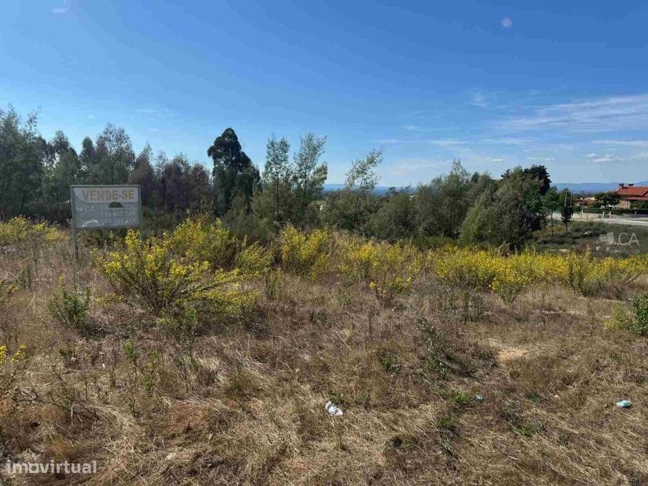 Terreno com potencial para urbanizar