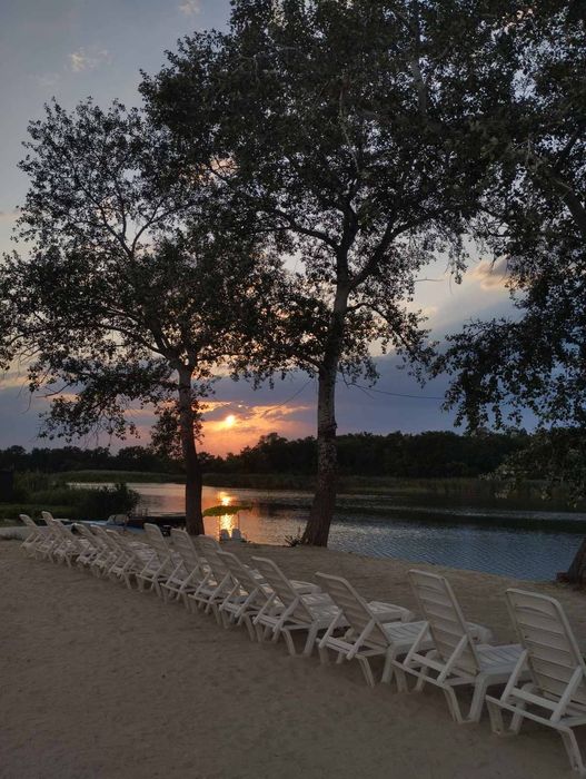 База відпочинку Шалена Жаба