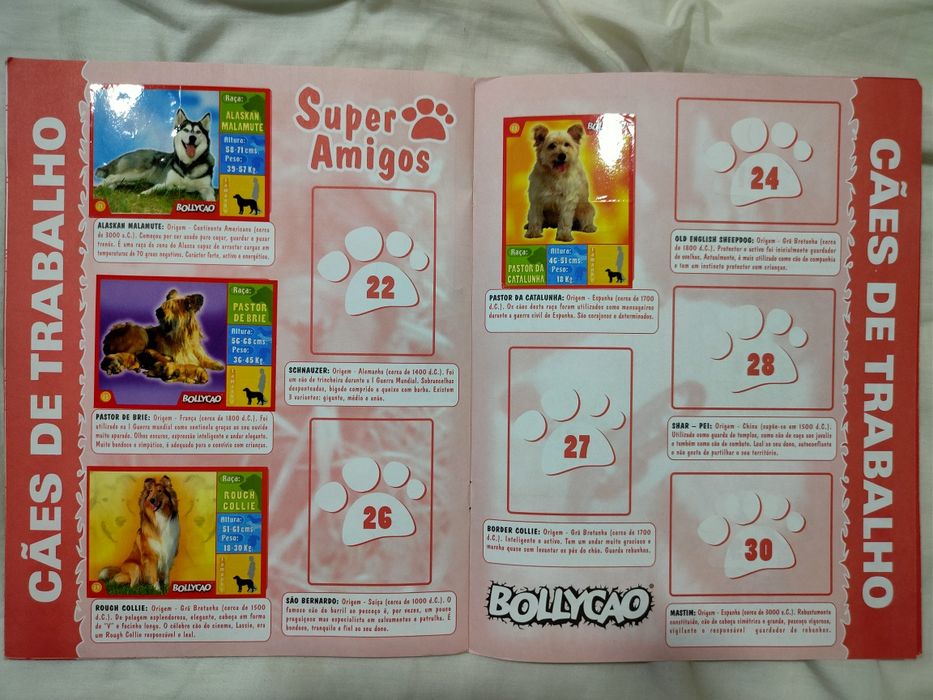 Caderneta Bollycao super amigos