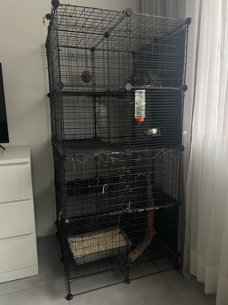 Adopcja- szynszyle razem z klatką