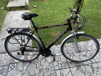 Rower szosowy | Fenix | Sirius 200