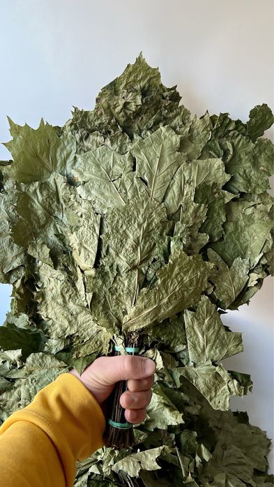 Witki do Sauny, Witkowanie w Saunie, Wenik Bania,