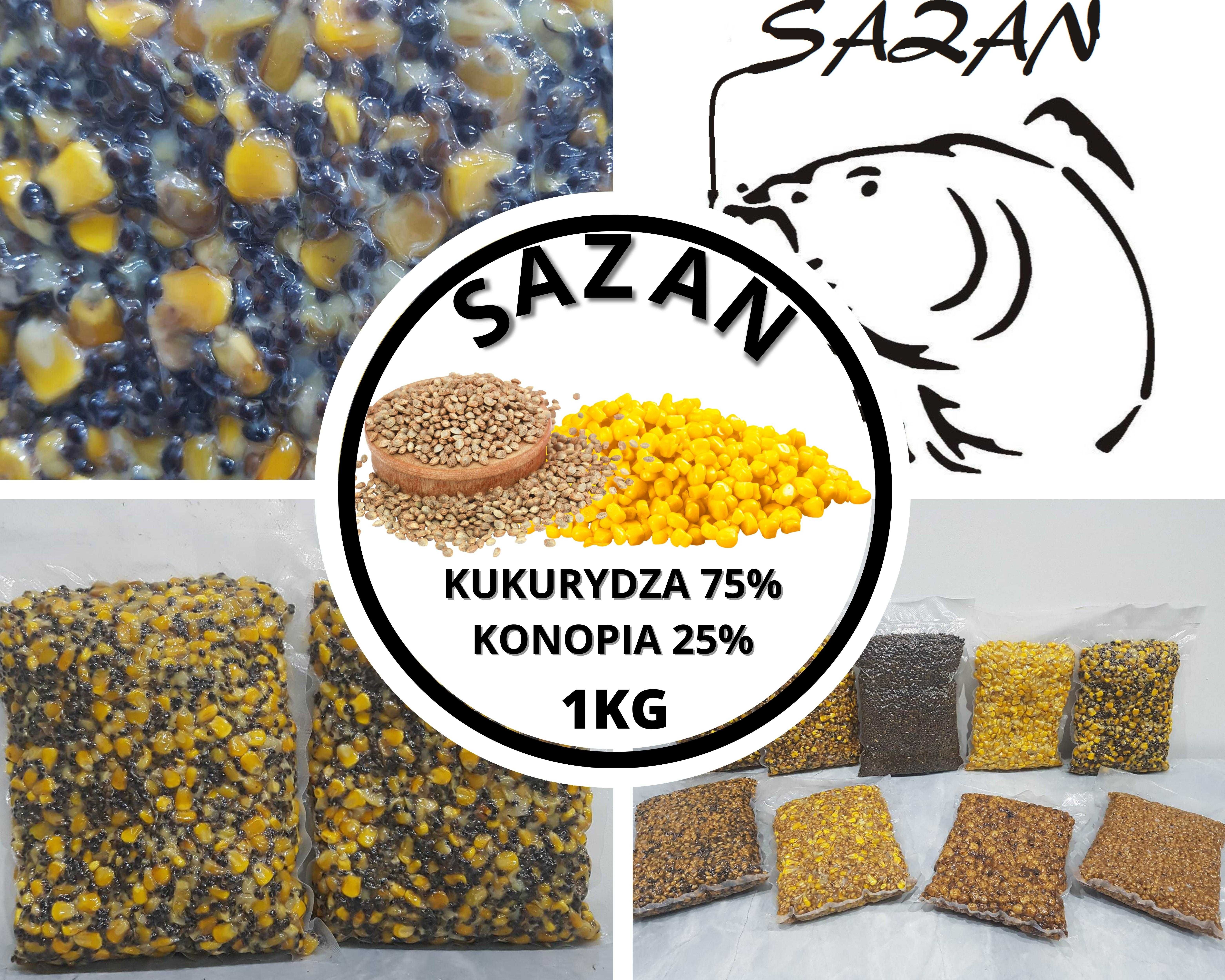 20kg Kukurydza z konopią ZANĘTA WĘDKARSKA Sazan Baits