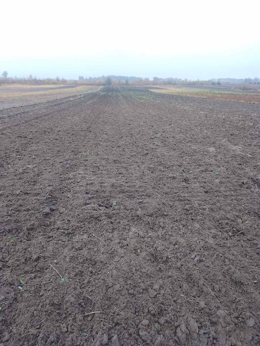 Дискова борона на юмз мтз т40