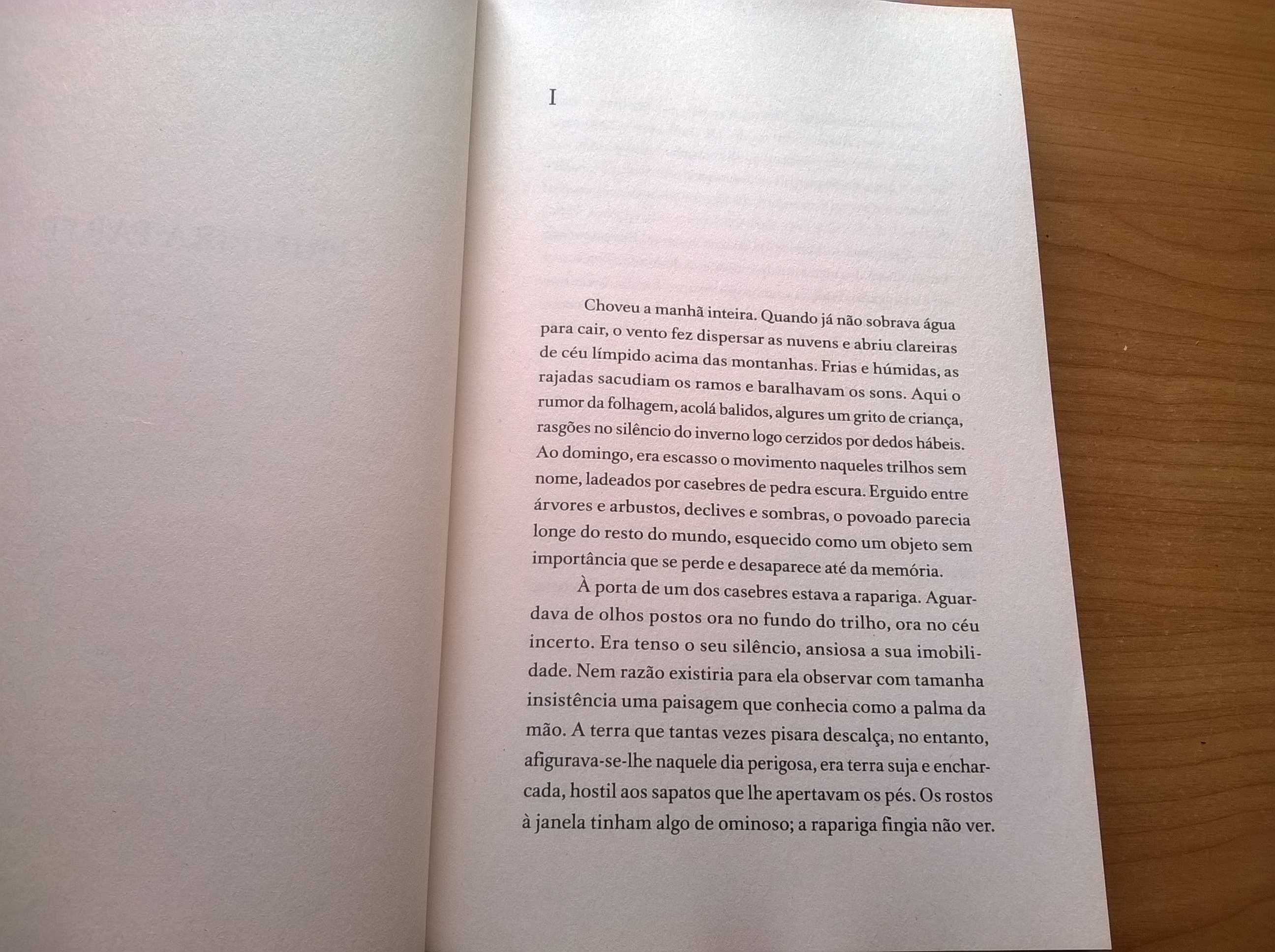 Na Terra dos Outros - (Romance de Estreia) Manuel Abrantes