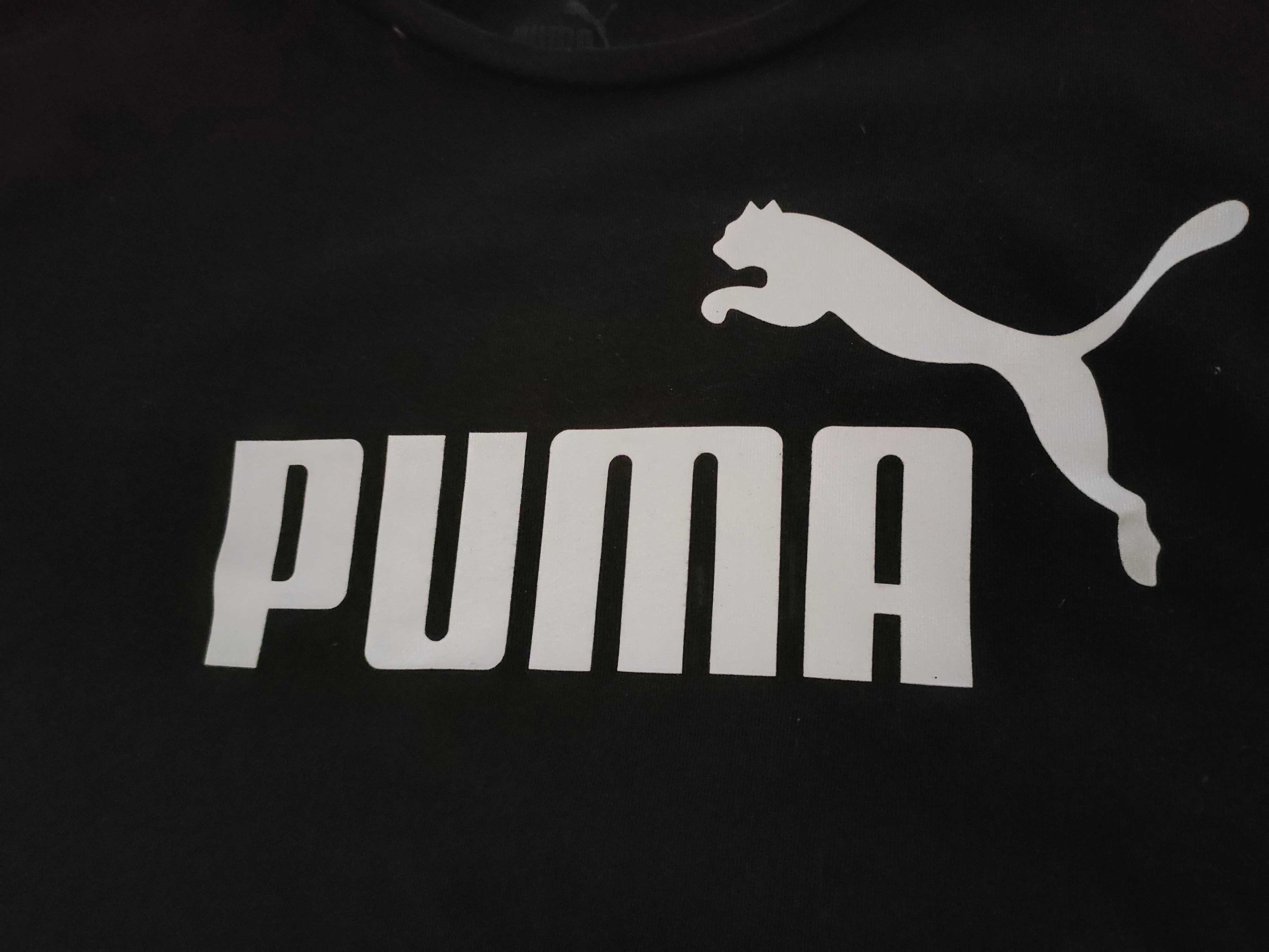 świetny krótki t-shirt PUMA