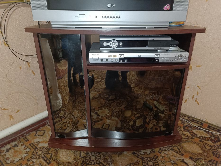 Тумба під ТВ з дверцями і поличкою