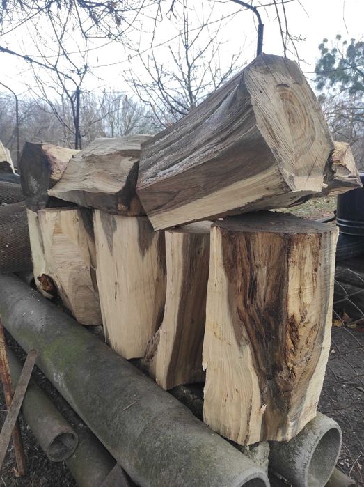 Продам обріз 40-ка річного горіха.